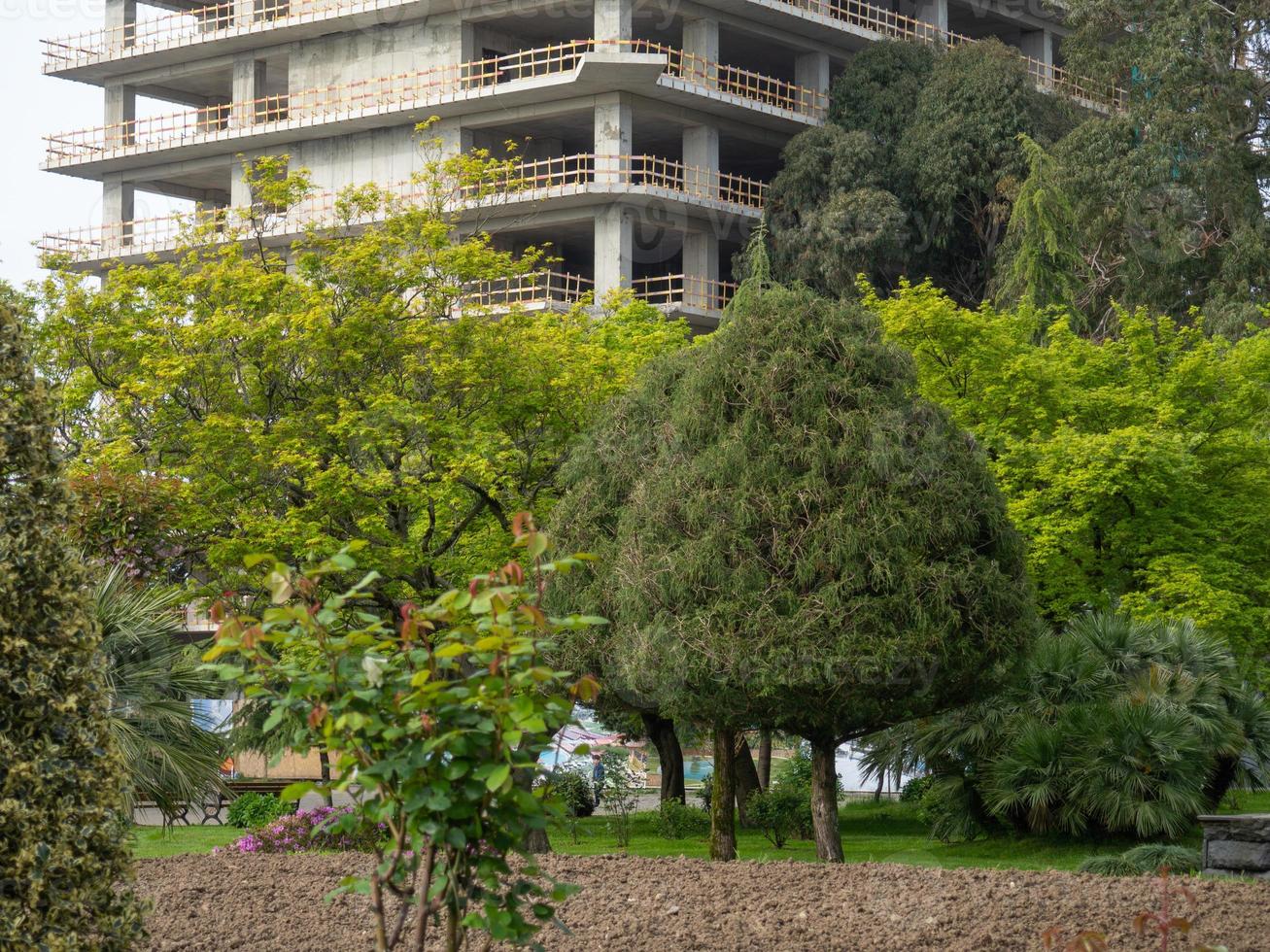 beau parc dans la ville. belles plantes dans le parc. balade touristique. arbres autour des bâtiments. photo