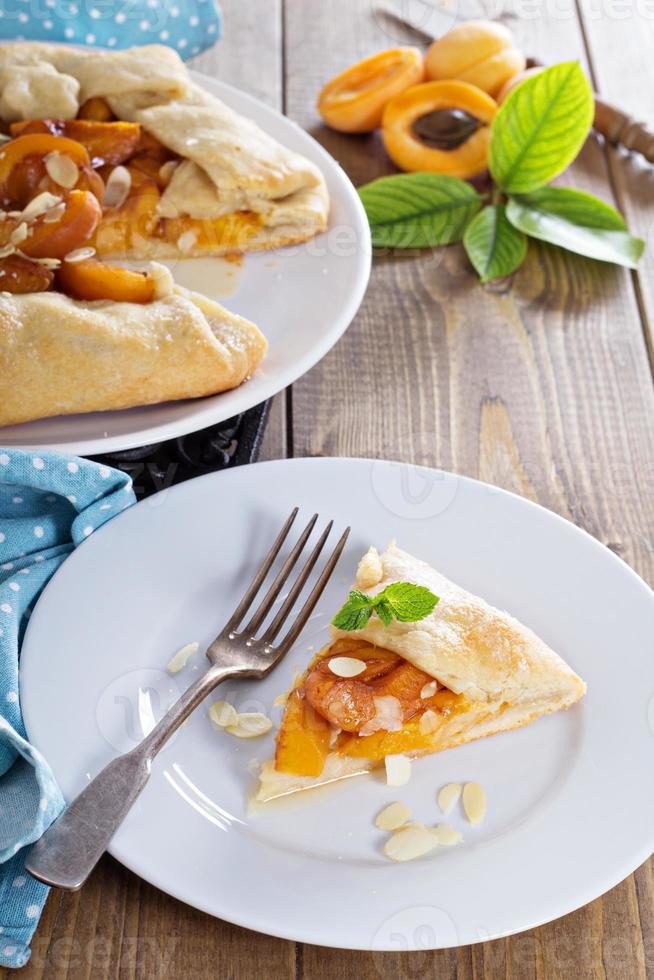 tarte ouverte aux abricots photo