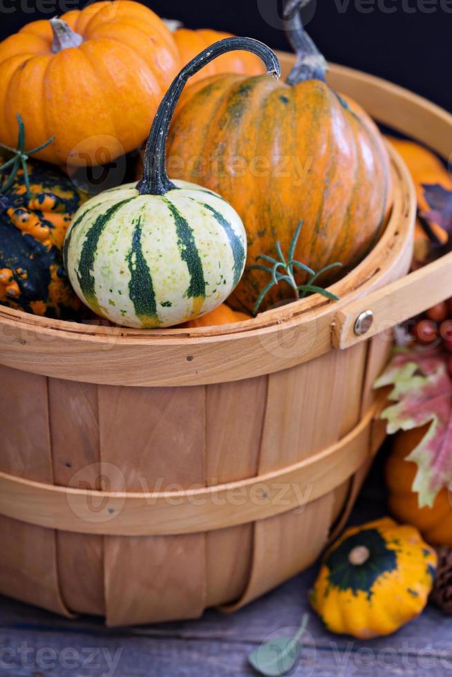 citrouilles et variété de courges photo