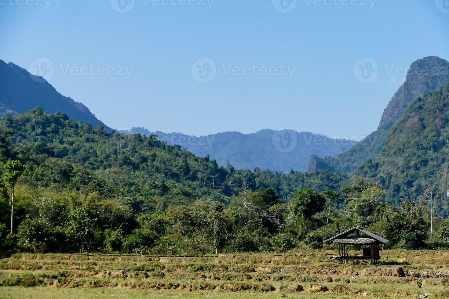 paysage rural en asie de l'est photo