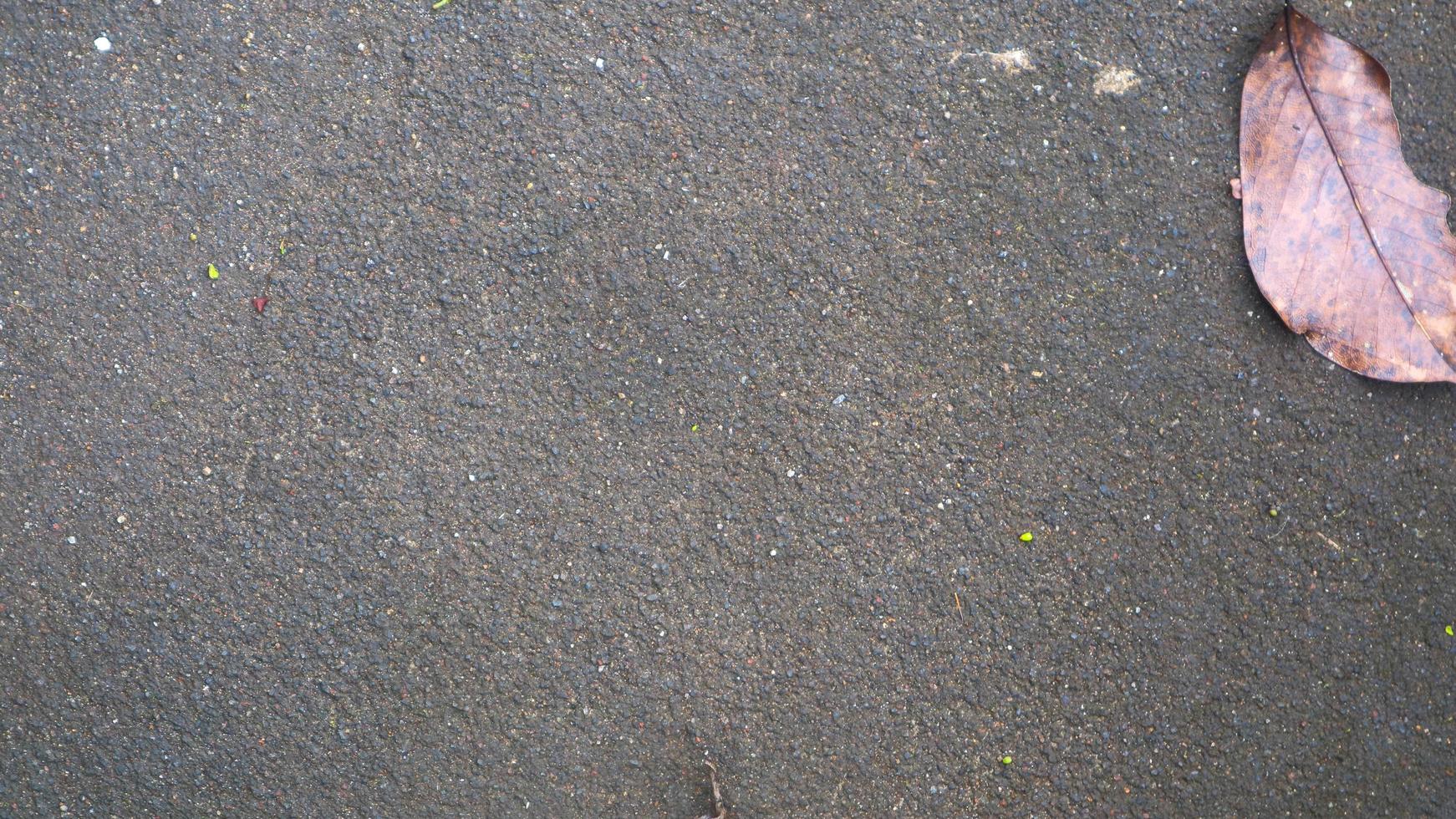 texture de route en béton avec des feuilles qui tombent photo