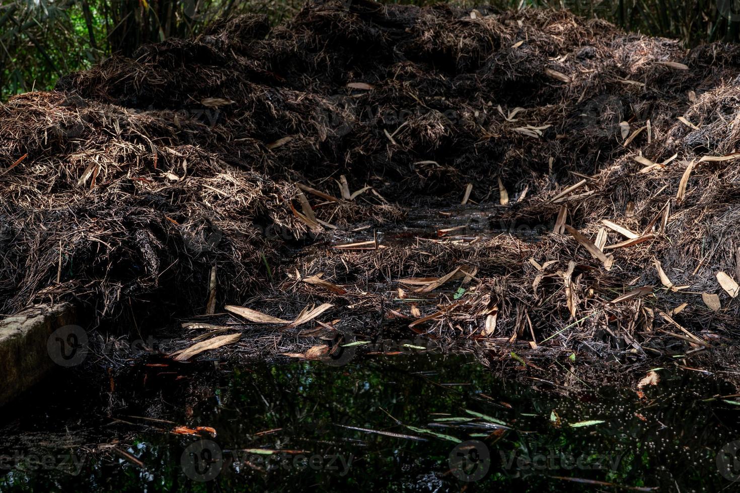 tas de compost dans le jardin. le compost crée un sol sain. jardinage biologique. tas de plantes en décomposition. recycler les matières organiques. l'agriculture biologique. fertilisant organique. terre de jardin. terre de compostage. photo