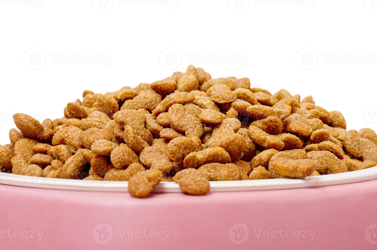 nourriture sèche pour animaux de compagnie sans céréales dans une assiette blanche et un support en silicone rose. nourriture pour animaux isoler photo