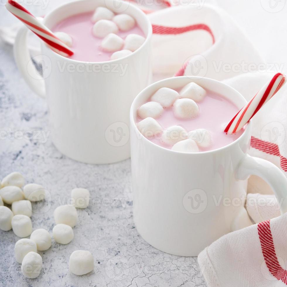 chocolat chaud à la menthe poivrée avec des cannes de bonbon photo