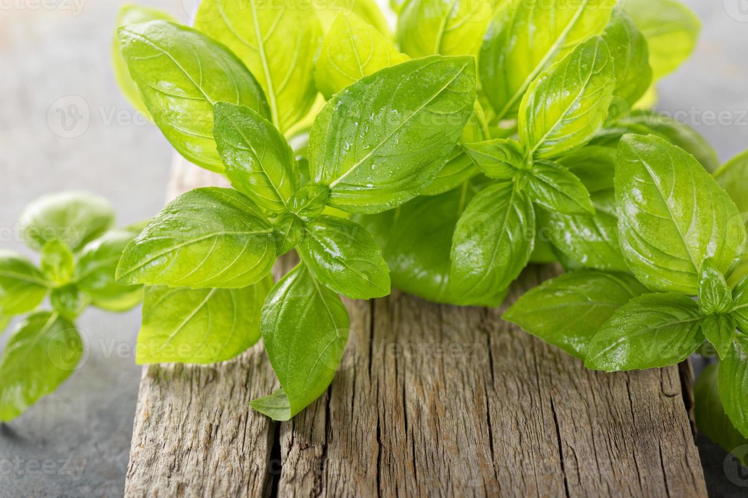 feuilles de basilic vert frais sur une planche rustique photo