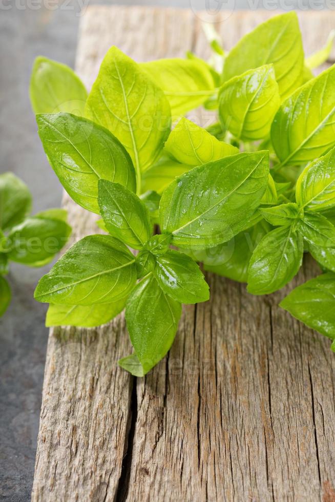 feuilles de basilic vert frais sur une planche rustique photo