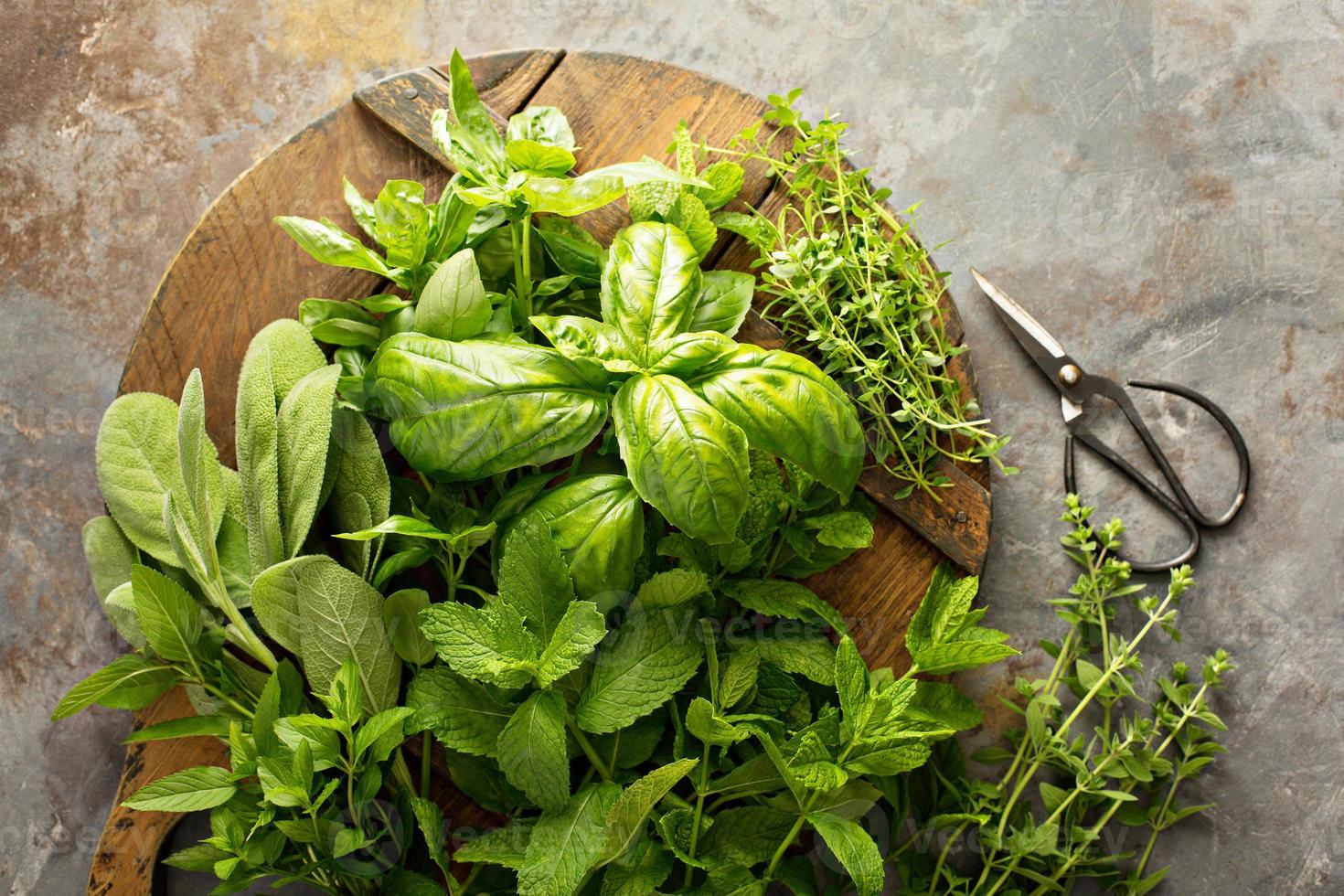 cuisiner avec des herbes fraîches photo