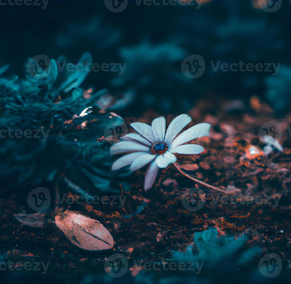 petite fleur blanche posée sur le sol. IA générative. photo