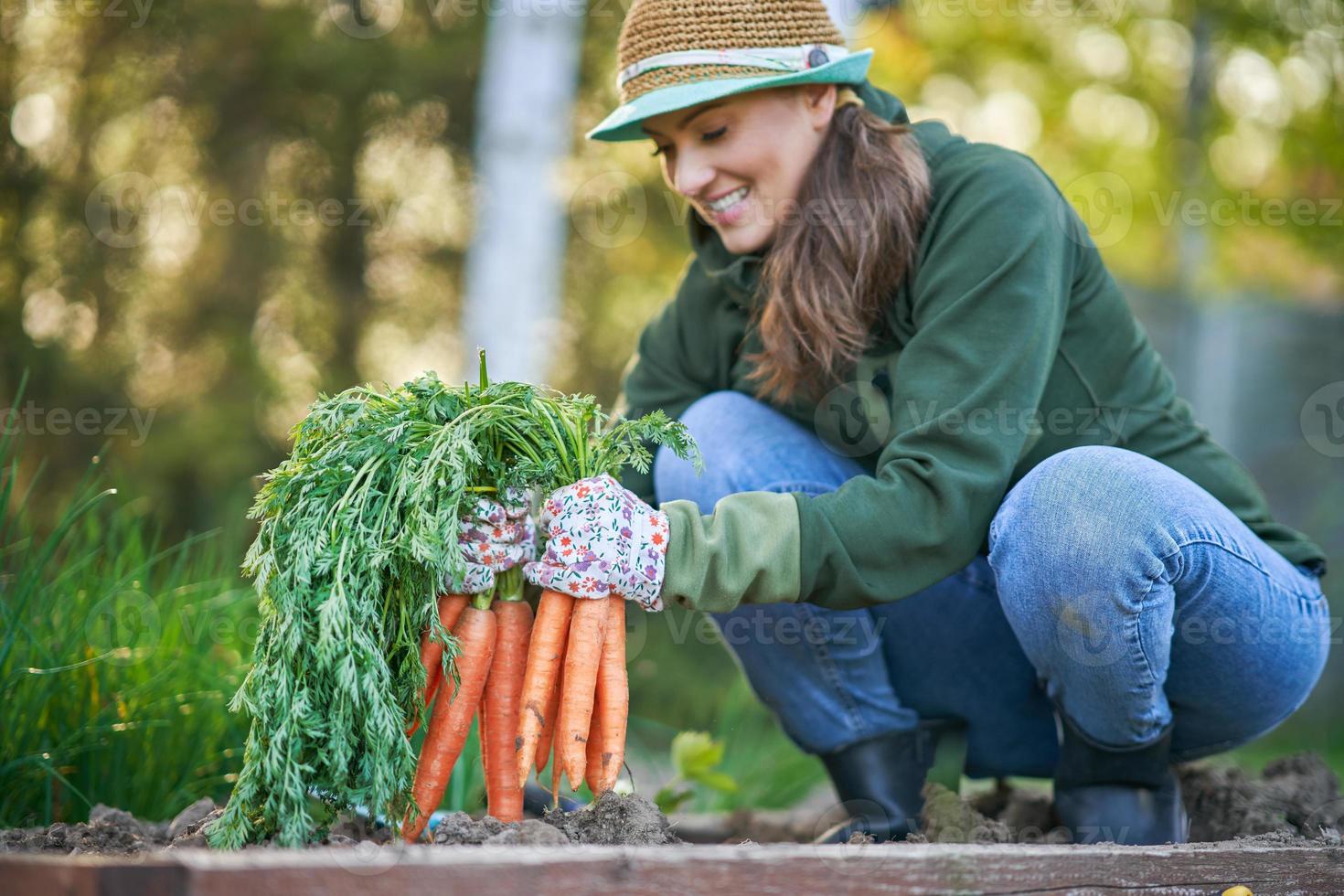 jardinier femme tenir la carotte fraîche dans les mains photo