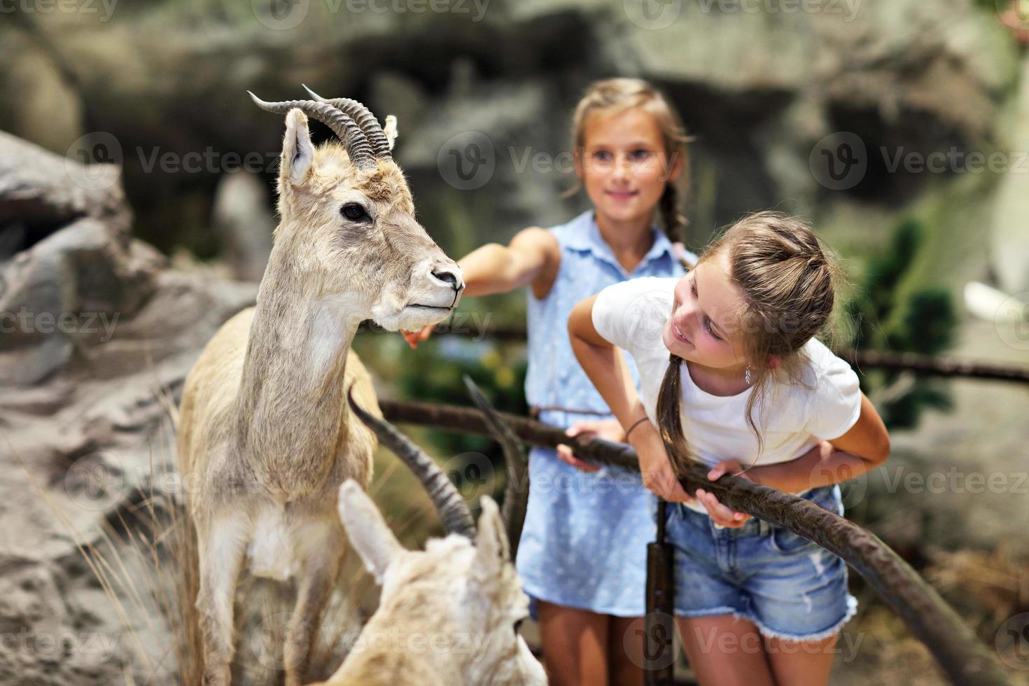 famille joyeuse au musée de la nature photo