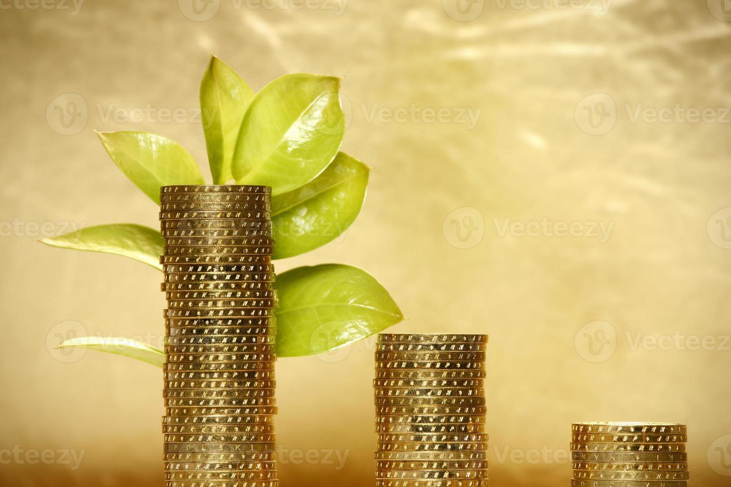 feuille et pièces de monnaie photo