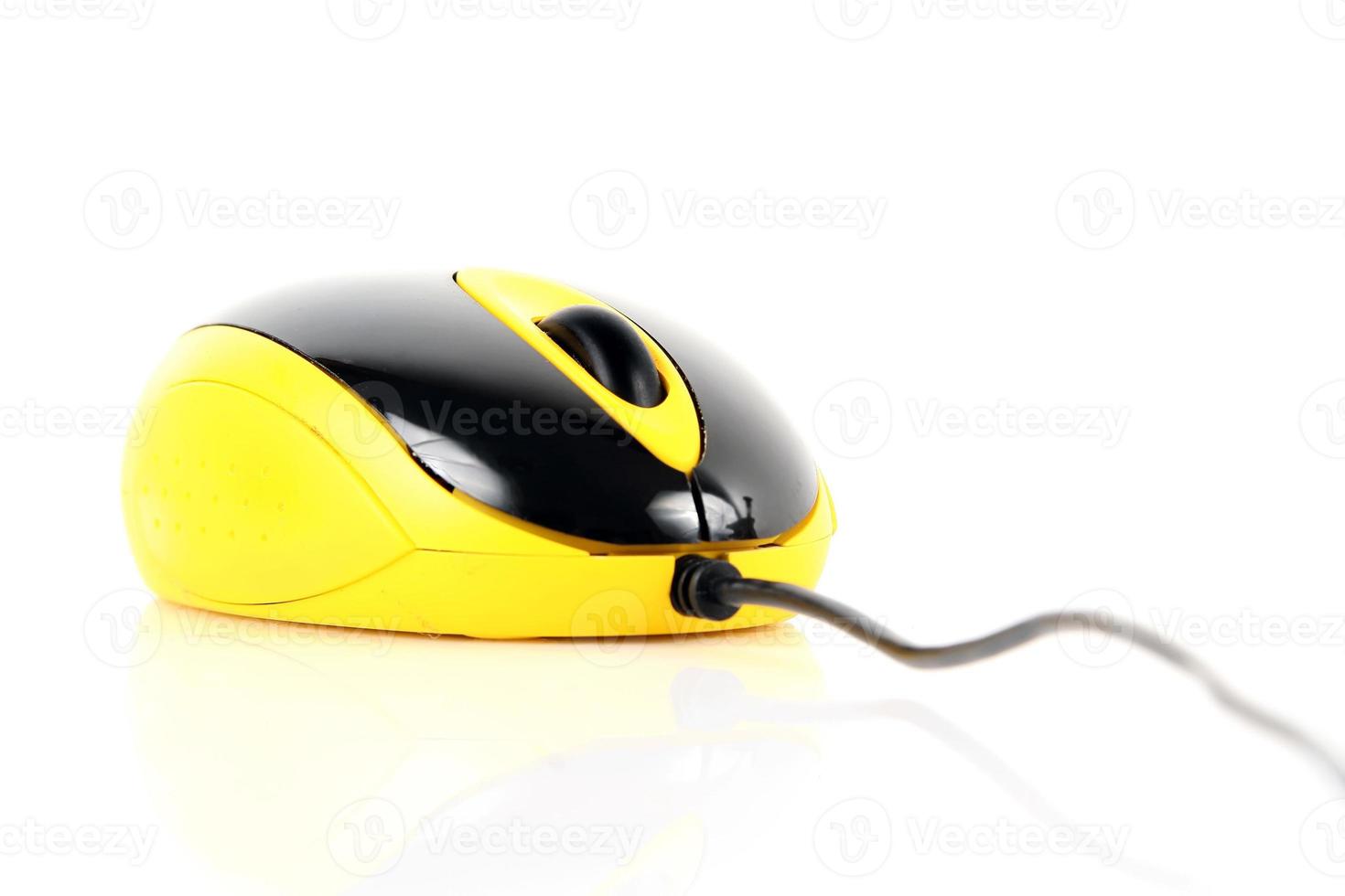 Souris jaune gros plan sur fond blanc photo