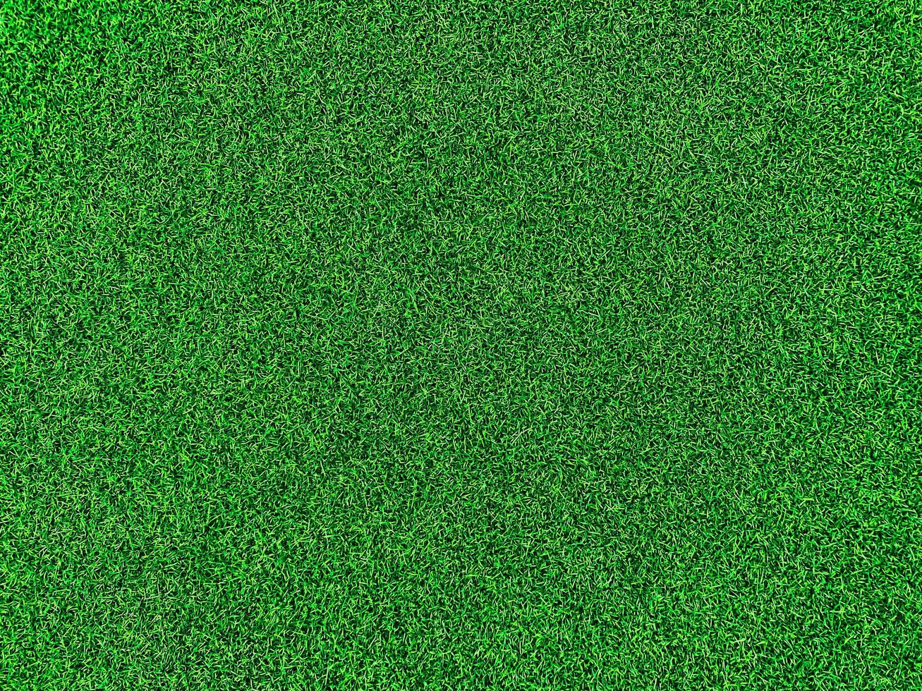 fond de texture d'herbe verte concept de jardin d'herbe utilisé pour faire un terrain de football de fond vert, golf d'herbe, fond texturé de motif de pelouse verte. photo