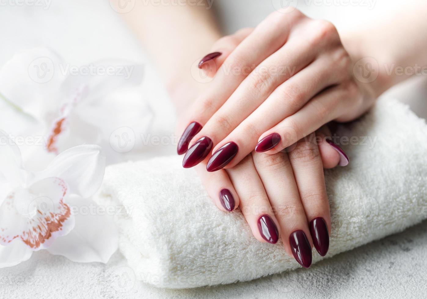 mains d'une jeune femme avec une manucure rouge foncé sur les ongles photo