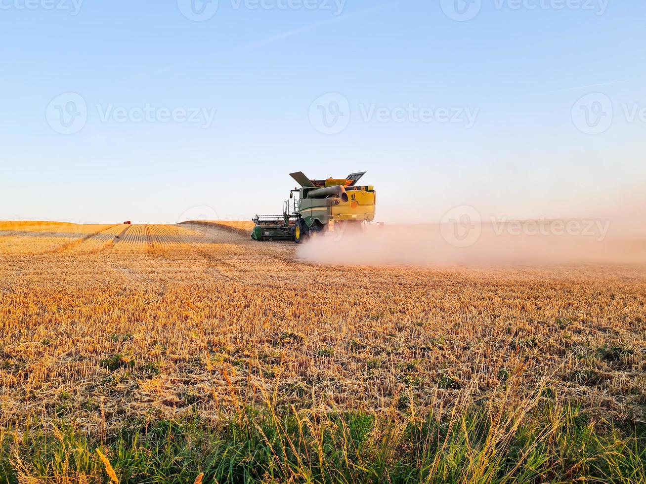 moissonneuse-batteuse travaillant sur le champ de blé au coucher du soleil, transport agricole moderne. moissonneuse-batteuse. récolte abondante. image agricole. photo