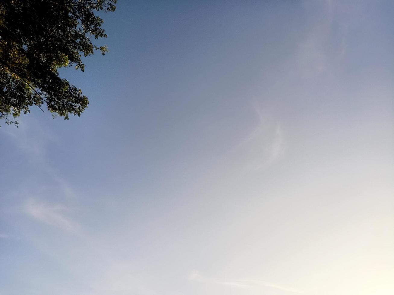 beau paysage naturel pendant la journée photo