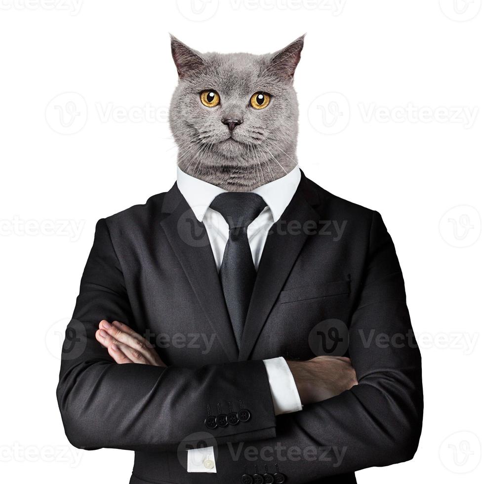 Homme à tête de chat isolé sur fond blanc photo