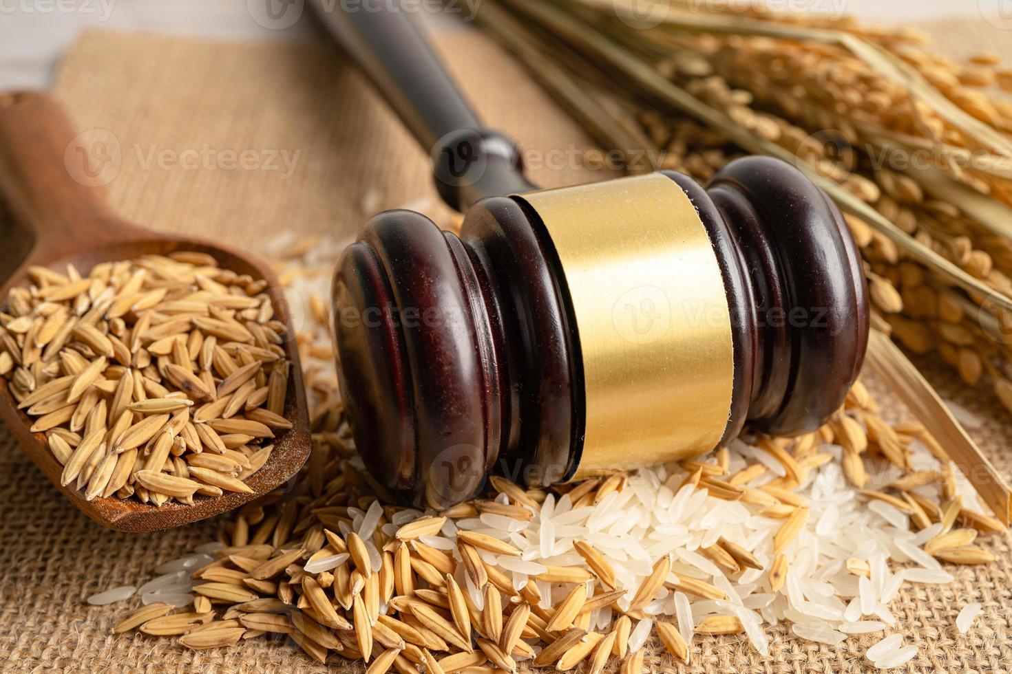 juge marteau marteau avec du bon riz à grains de la ferme agricole. concept de tribunal de droit et de justice. photo