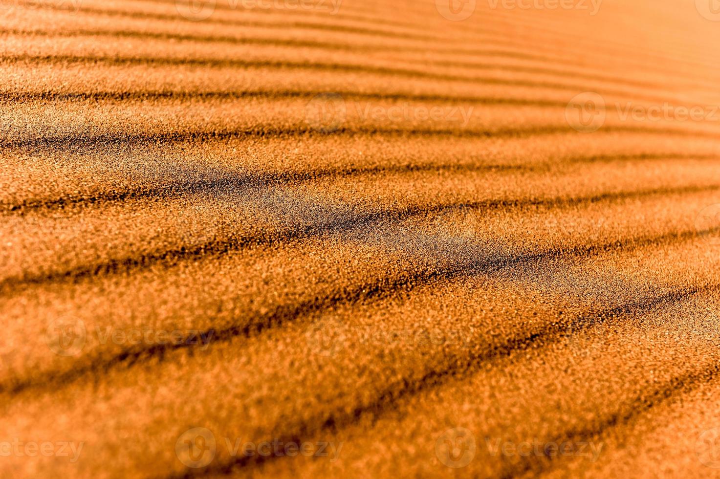 Désert de Sossusvlei, Namibie photo