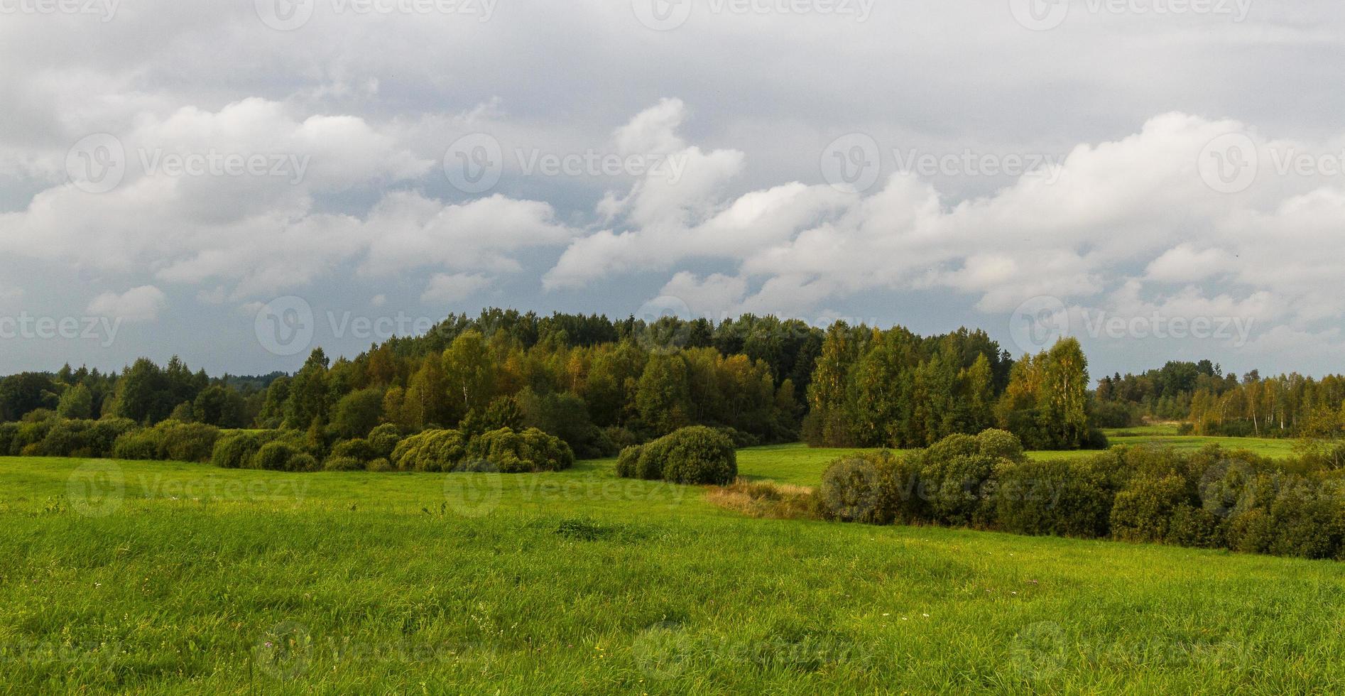 paysages d'été ruraux dans les pays baltes photo