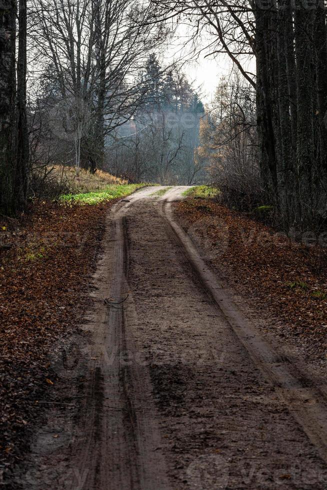 chemin de campagne gravillonné photo