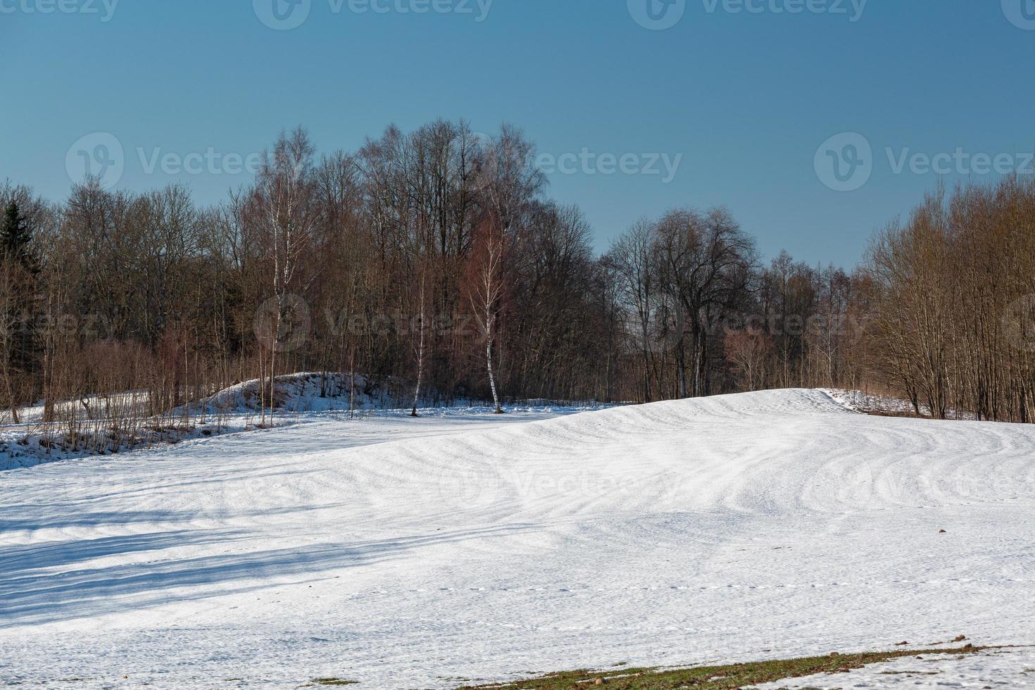 paysages d'hiver dans les pays baltes photo