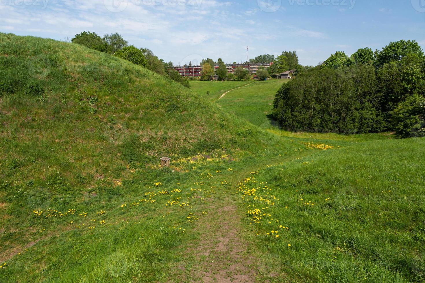 paysages d'été dans la campagne lettone photo