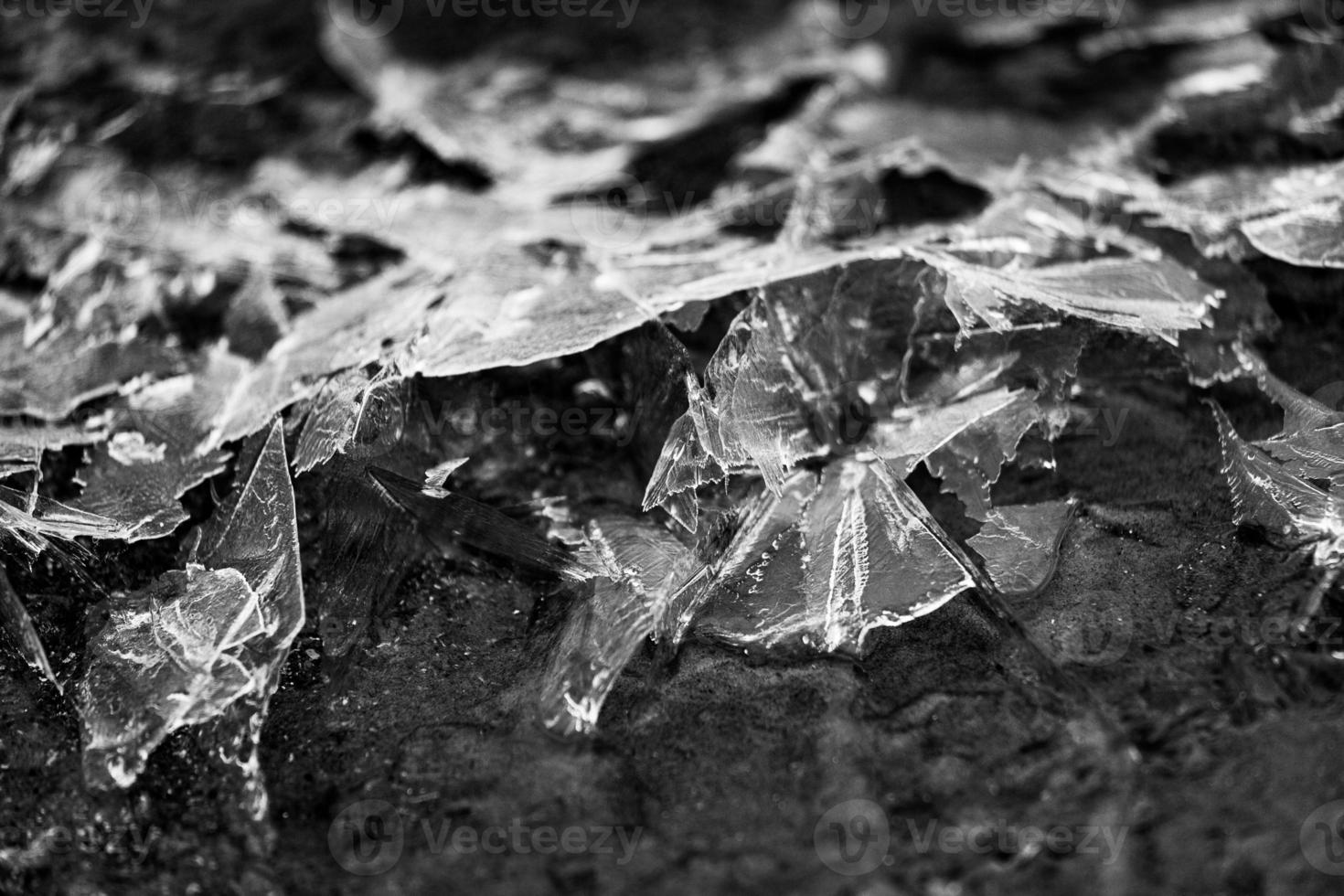 motifs de glace sur glace mince photo