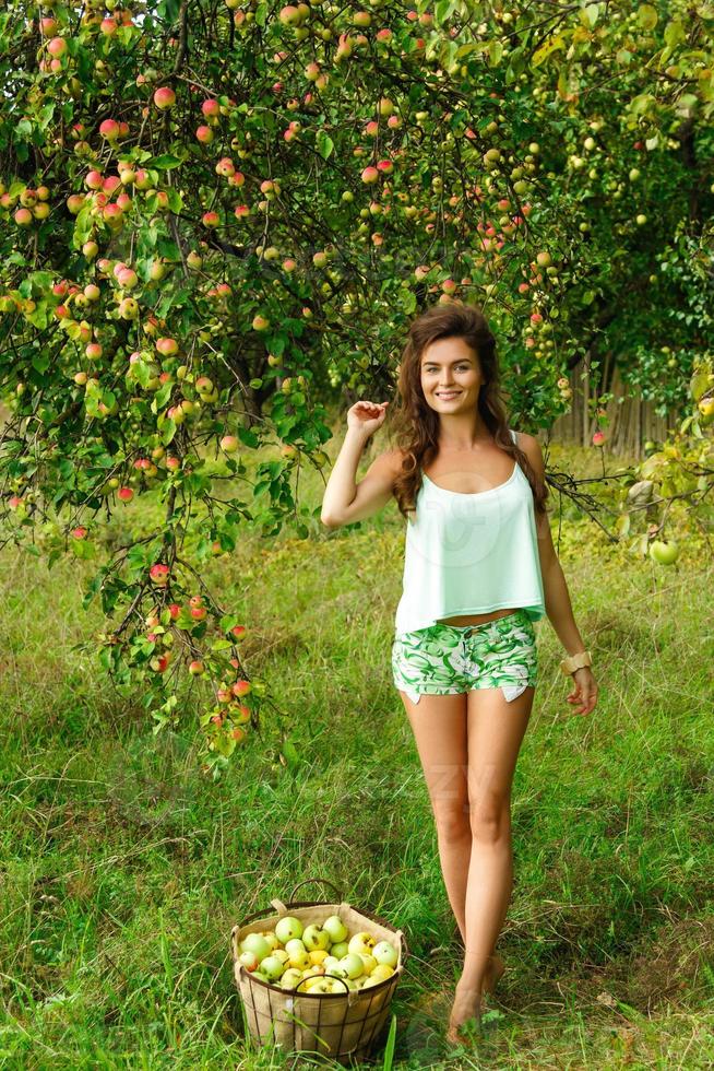 femme heureuse dans le jardin lors d'une cueillette de pommes photo