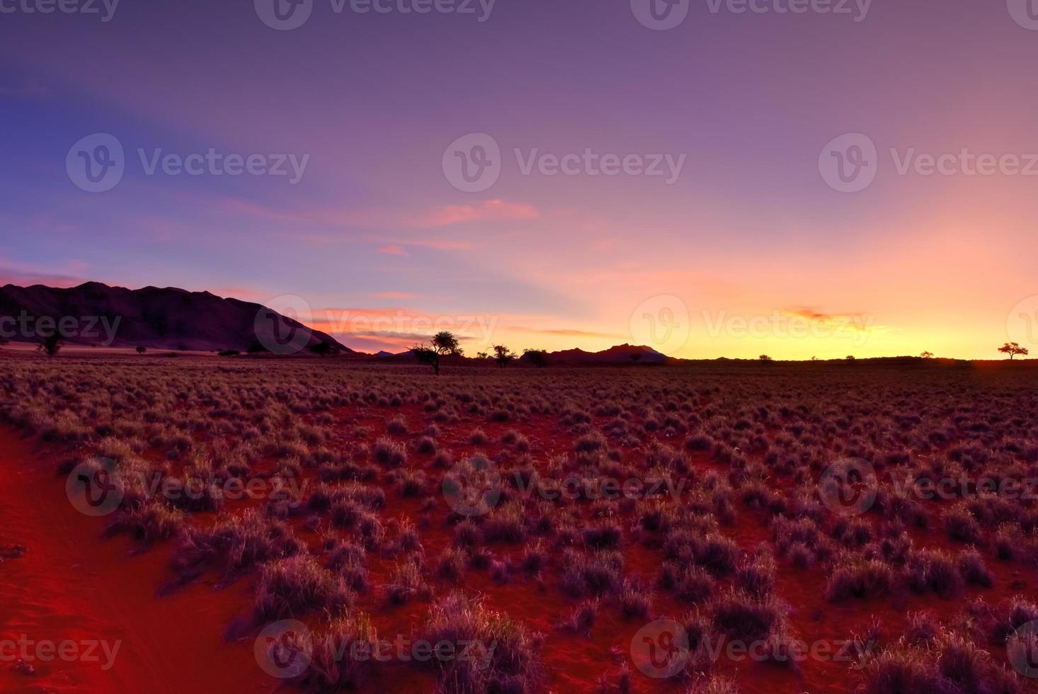 paysage désertique - namibrand, namibie photo