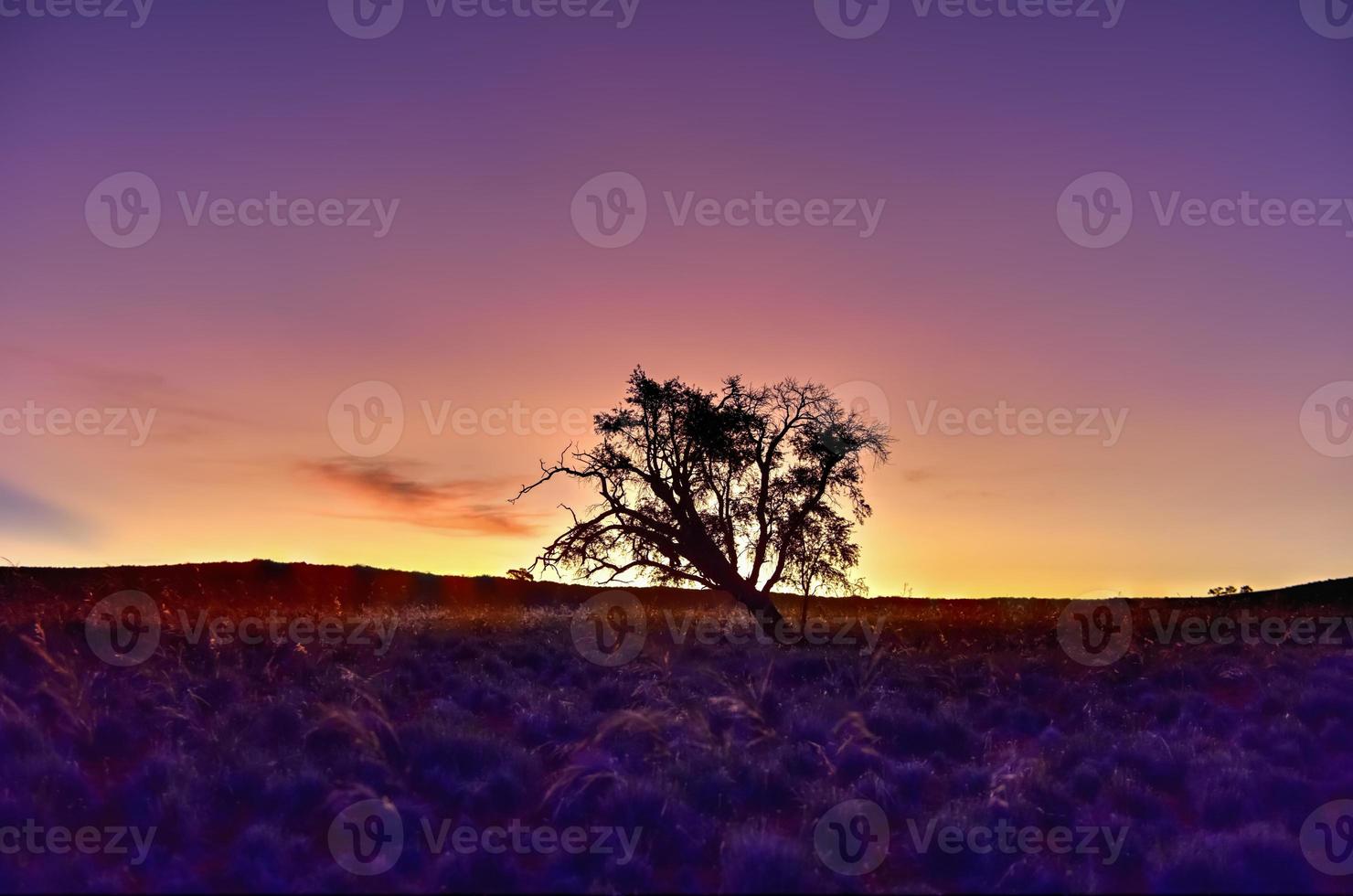 paysage désertique - namibrand, namibie photo