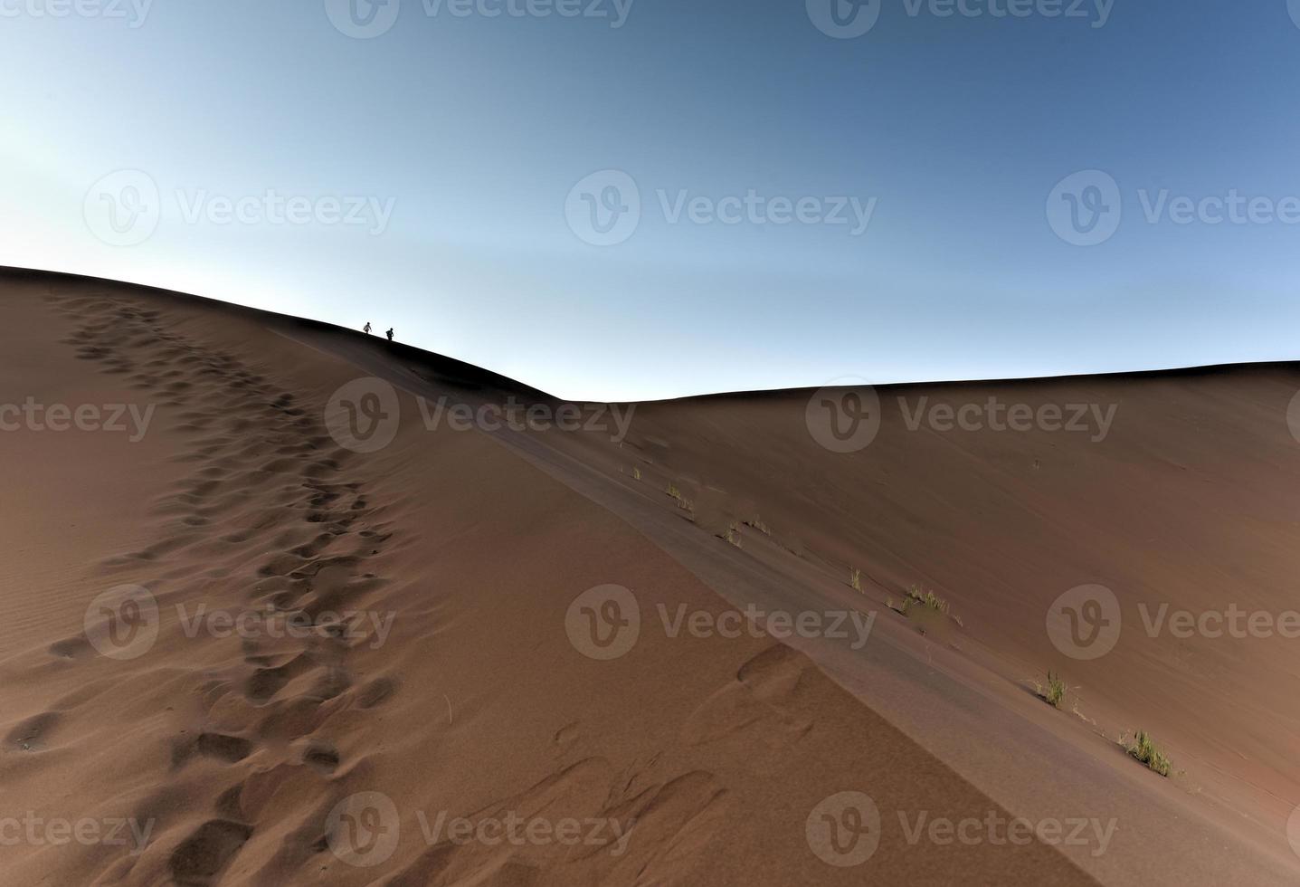 Désert de Sossusvlei, Namibie photo