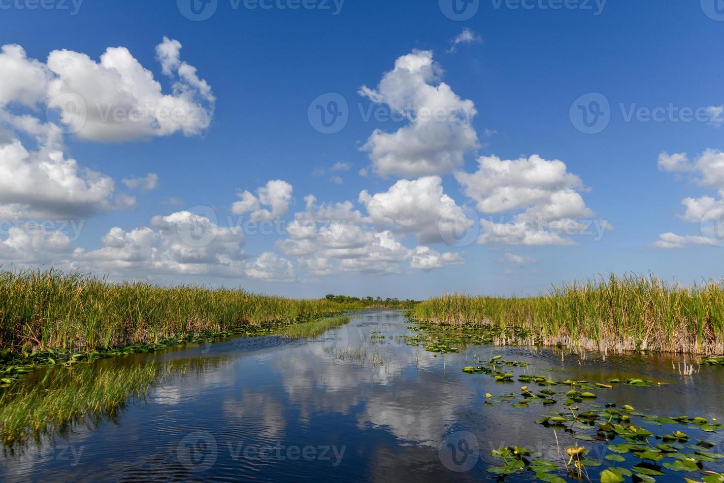 zone humide de la floride dans le parc national des everglades aux états-unis. endroit populaire pour les touristes, la nature sauvage et les animaux. photo