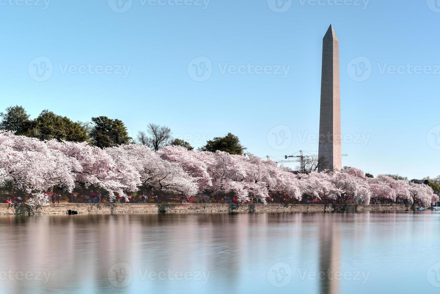 monument de washington à washington dc photo