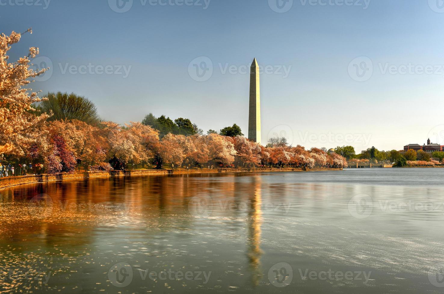 washington dc, états-unis au bassin de marée avec le monument de washington au printemps. photo