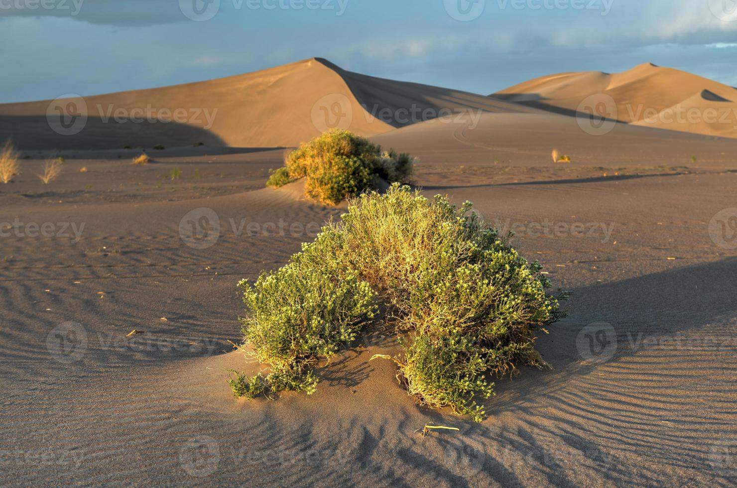 dunes de sable le long du désert d'amargosa au coucher du soleil photo