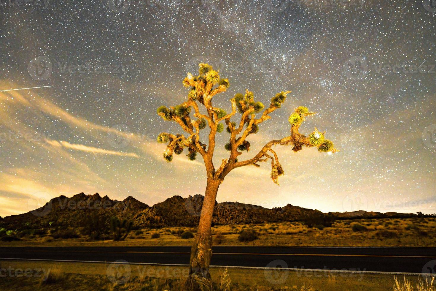 beau paysage dans le parc national de joshua tree en californie la nuit. photo