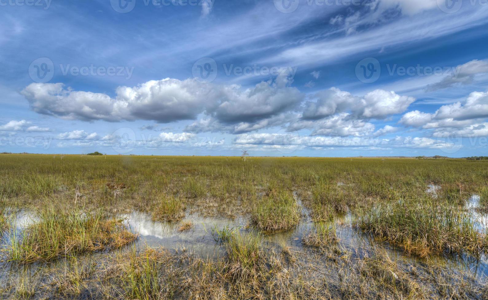 paysage pittoresque des everglades en floride photo