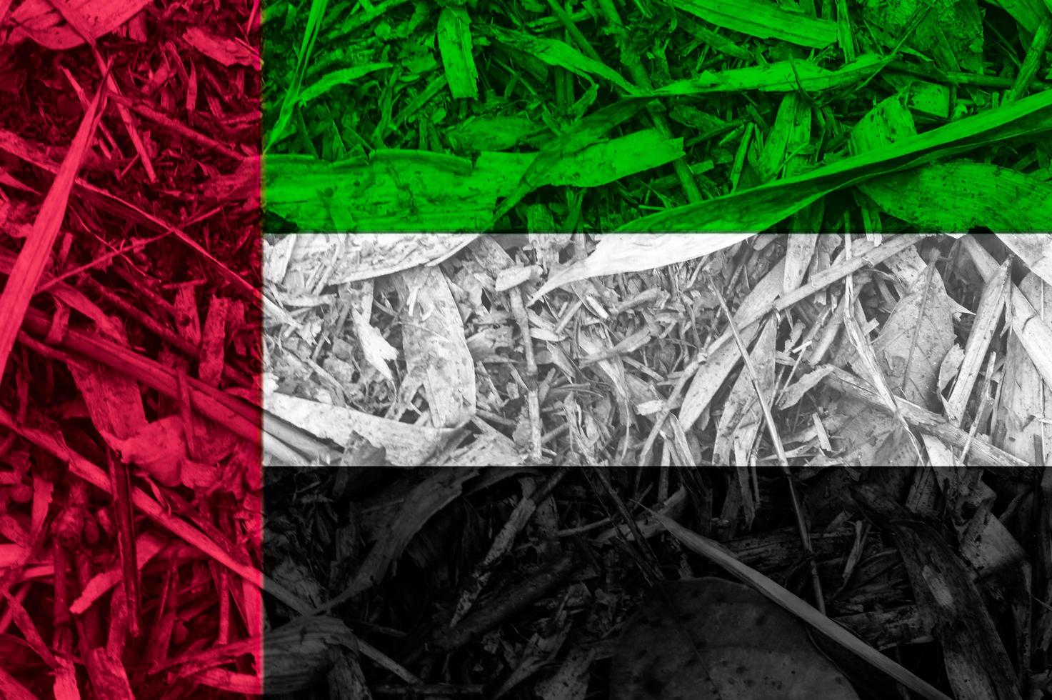 texture du drapeau des émirats arabes unis en toile de fond photo