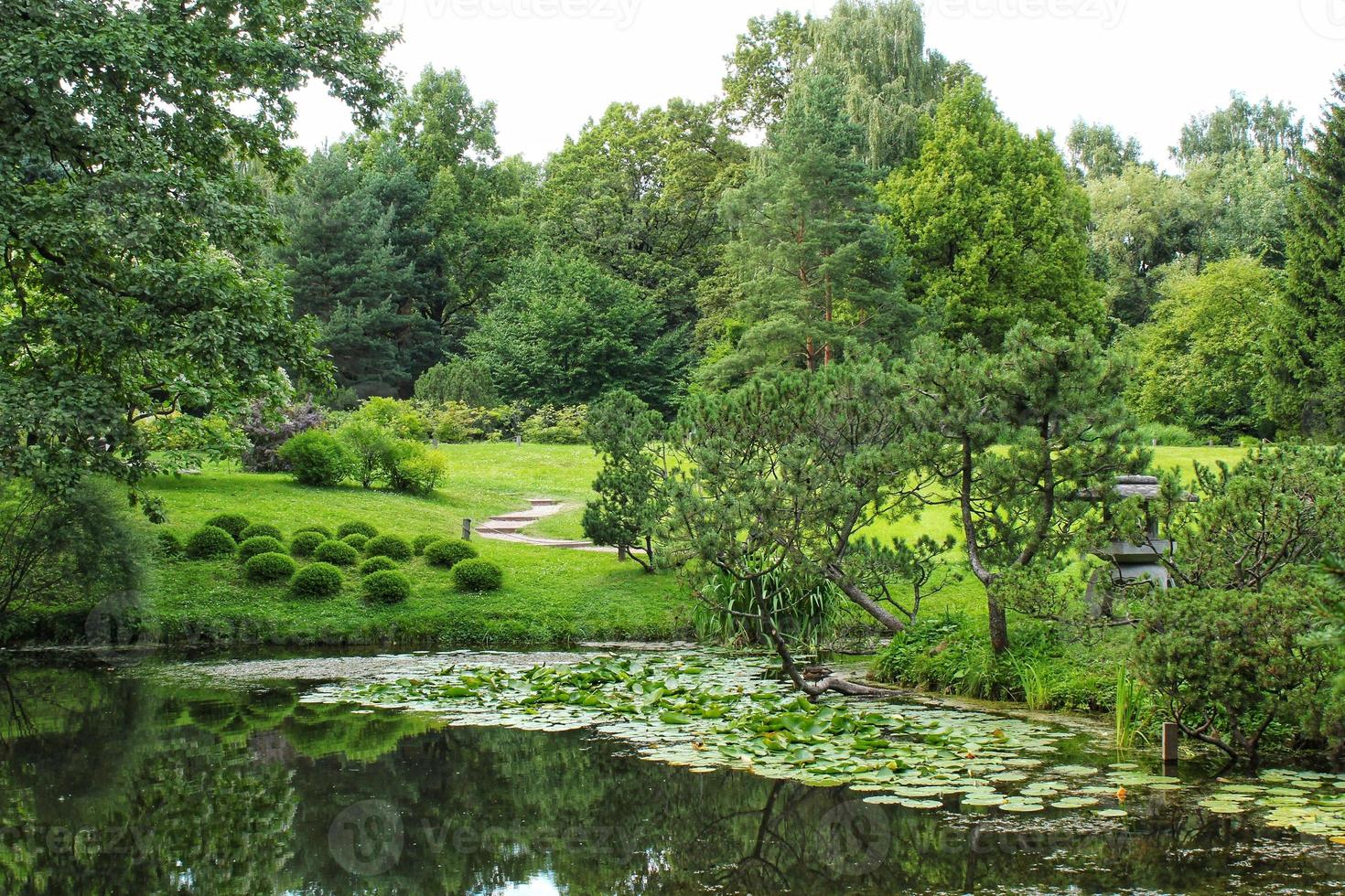 belle vue sur le paysage dans le jardin décoratif botanique traditionnel japonais. scène de nature calme de l'eau de l'étang du lac d'été vert et de la lanterne de la pagode. zen, méditation, concept d'harmonie photo