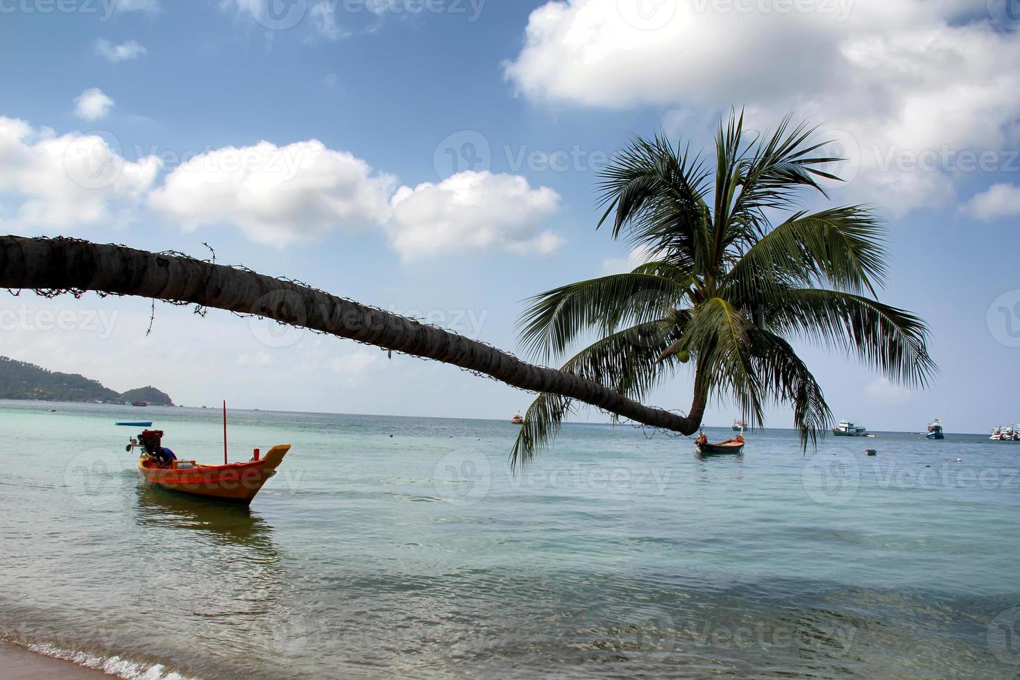 plage de sai ree koh tao photo