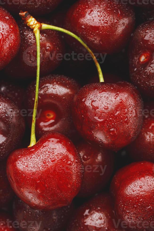 baies mûres et fraîches d'une cerise douce avec des gouttes d'eau en gros plan. photo