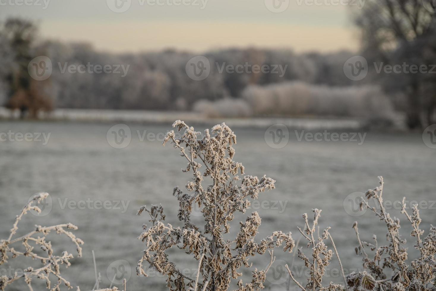 heure d'hiver en allemagne photo