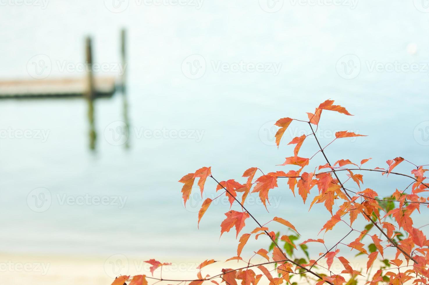 scène tranquille du lac du matin photo