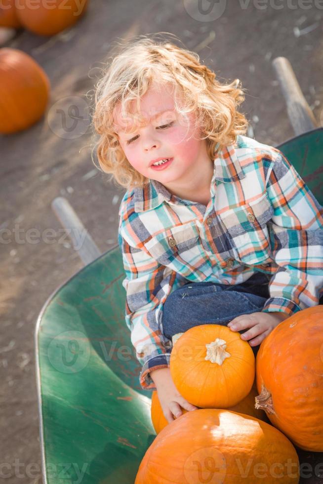 petit garçon assis dans une brouette à côté de ses citrouilles dans un ranch rustique au champ de citrouilles. photo