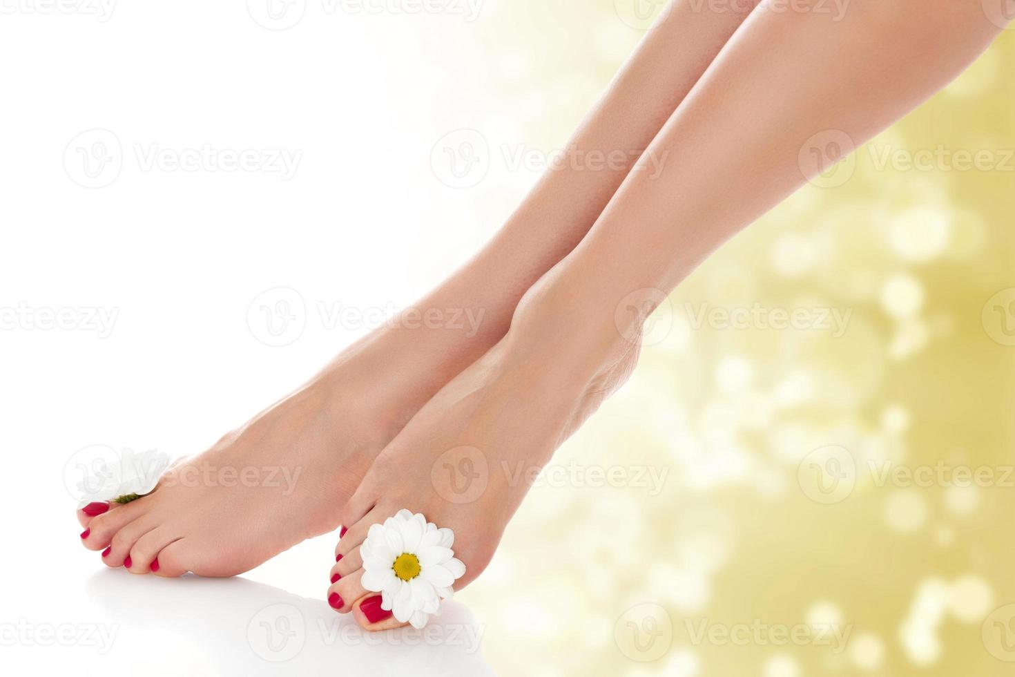 belles jambes féminines avec fleur de marguerite sur fond flou doré. photo