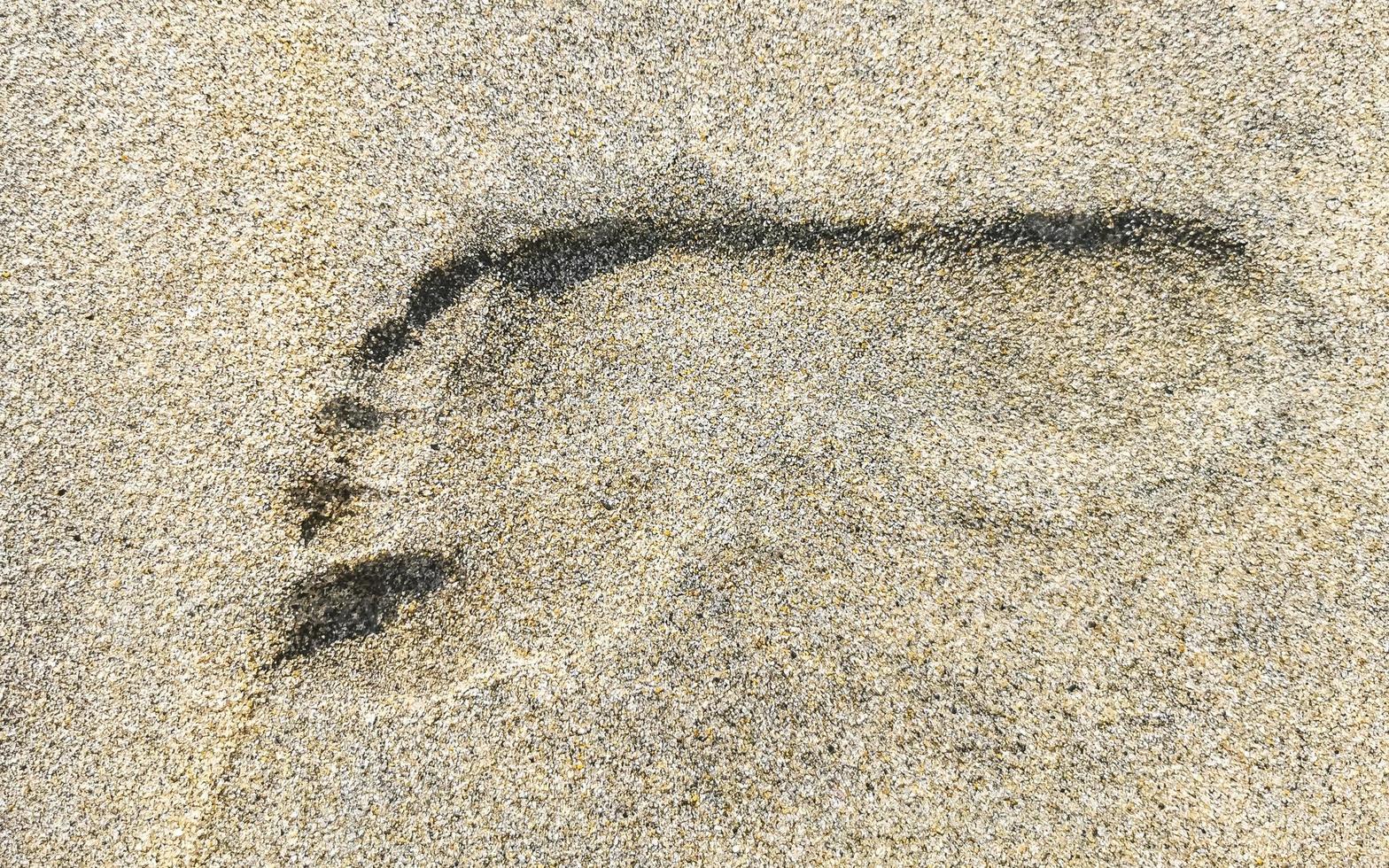 empreintes de pas sur le sable de la plage au bord de l'eau mexique. photo