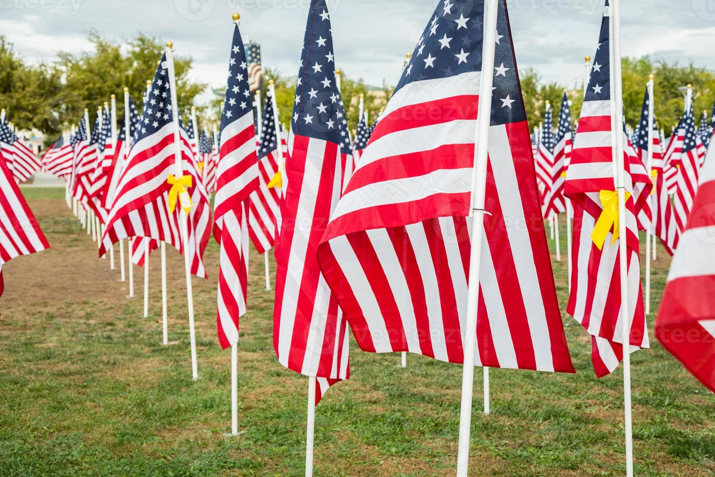 champ de drapeaux américains de la journée des anciens combattants agitant dans la brise. photo