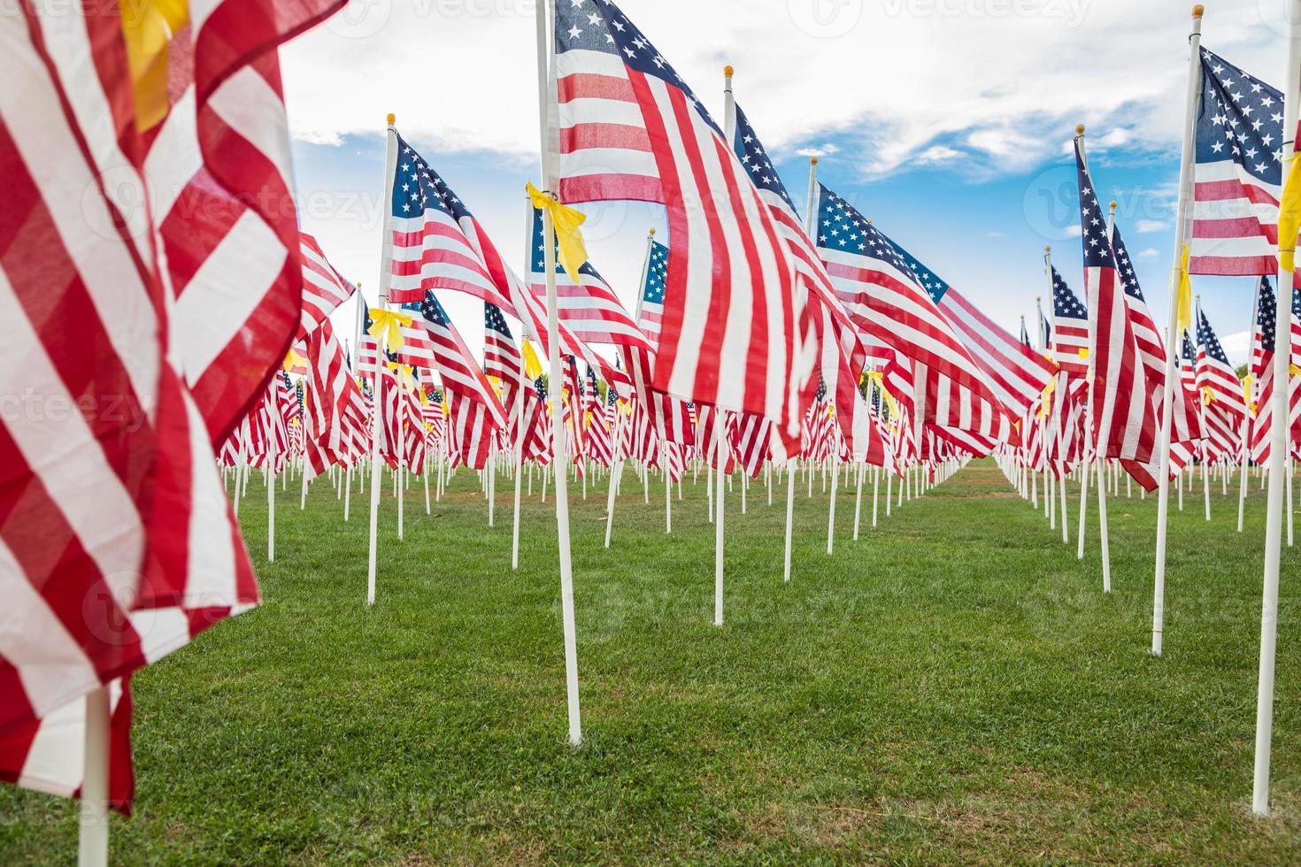 champ de drapeaux américains de la journée des anciens combattants agitant dans la brise. photo