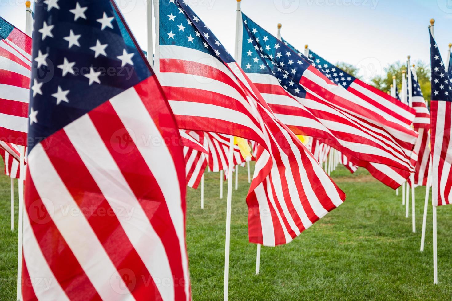 champ de drapeaux américains de la journée des anciens combattants agitant dans la brise. photo